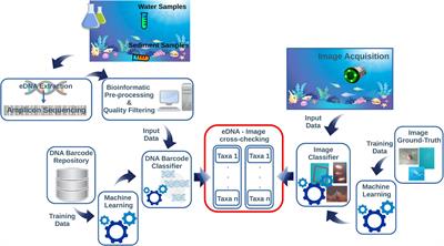 Framing Cutting-Edge Integrative Deep-Sea Biodiversity Monitoring via Environmental DNA and Optoacoustic Augmented Infrastructures